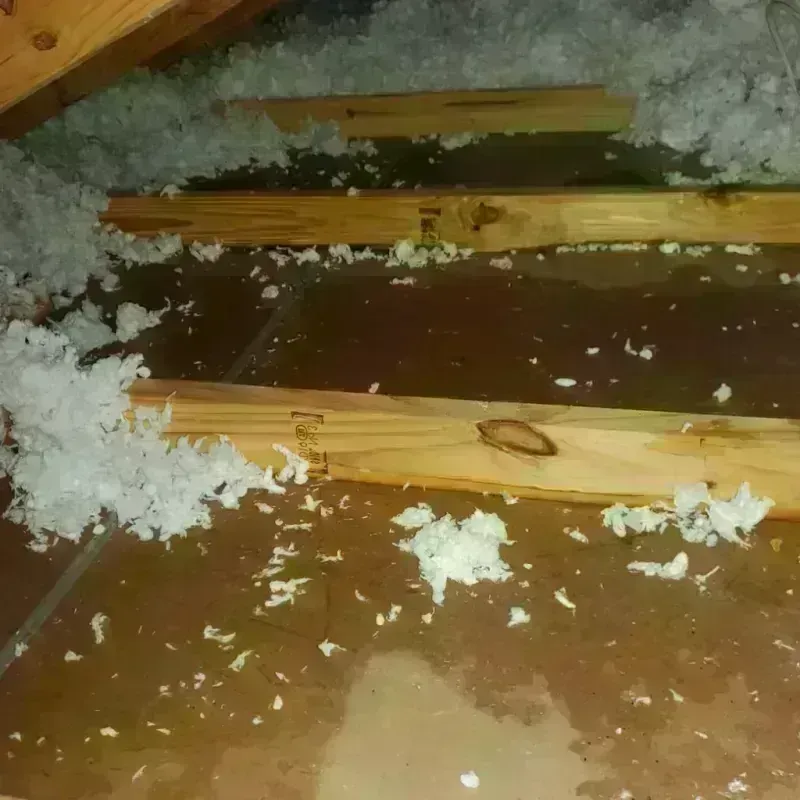 Attic Water Damage in Amherst, MA