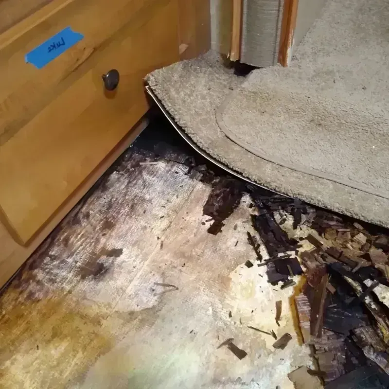 Wood Floor Water Damage in Amherst, MA